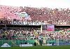 Calcio, Pisa-Palermo 3-3: tante emozioni nel match dell'Arena Garibaldi