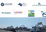 Crisi della pesca, Associazioni di settore: 