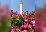 ​Giornate FAI d’Autunno, il Faro di Capo San Vito apre le sue porte