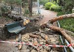 ​Valderice. “Pineta abbandonata, servono interventi e finanziamenti”