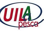 ​Legge di Bilancio, Bene Cisoa pesca, battaglia storica Uila e Uila pesca per tutelare reddito pescatori