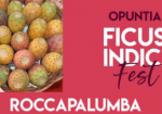 Enogastronomia, a ​Roccapalumba la Sagra del Ficodindia