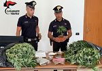 Piante di marijuana e droga in casa: arrestati padre e figlio a Marsala