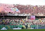 Calcio, Pisa-Palermo 3-3: tante emozioni nel match dell'Arena Garibaldi