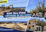 (VIDEO) Petrosino, litorale spianato e alberi mutilati: la 