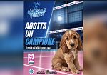 Marsala. Una schiacciata contro l’abbandono: domenica al PalaSport torna “Adotta un campione”