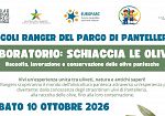“Schiaccia le olive!”: i Piccoli Ranger del Parco di Pantelleria alla scoperta dell’olivocoltura