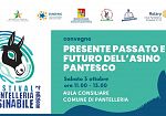 “Festival Pantelleria Asinabile”: al centro degli eventi il futuro e la tutela dell’asino pantesco