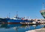 Pesca siciliana, la crisi non può più aspettare: le organizzazioni chiedono un intervento strutturale