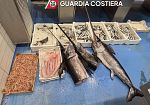 Trapani, sequestrati 105 kg di pesce senza tracciabilità: sanzioni per 6.000 euro