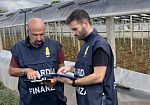 GdF Trapani: Scoperti 15 lavoratori 