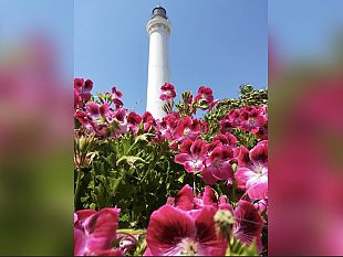 giornate-fai-dautunno-il-faro-di-capo-san-vito-apre-le-sue-porte