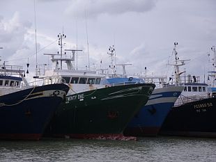 crisi-della-pesca-flai-cgil-e-uila-uil-trapani-sul-bando-da-17-milioni-ristori-anche-ai-lavoratori