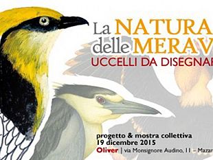 oliver-al-museo-ornitologico-di-mazara-del-vallo-verra-inaugurata-la-mostra-la-natura-delle-meraviglie