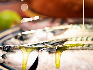 l-olio-extravergine-e-le-olive-del-belice-salgono-in-cattedra-sabato-convegno-degustazione-e-il-pescato-di-sicilia-incontra-la-nocellara
