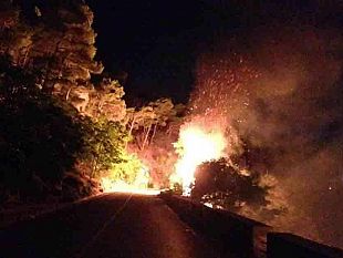 in-fiamme-il-bosco-di-erice-il-racconto-del-giornalista-mario-torrente