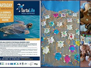 l-area-marina-protetta-aderisce-al-tartaday-giornata-mondiale-delle-tartarughe-marine-celebrata-da-due-progetti-life