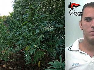 marsala-ancora-droga-tratto-in-arresto-angelo-barraco-di-24-anni