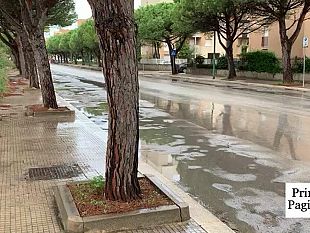 video-nel-mezzo-del-cammin-di-via-virgilio-mi-trovai
