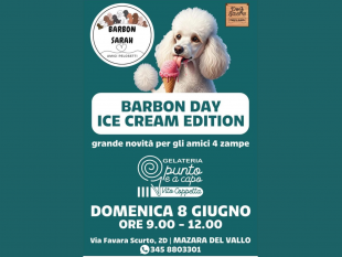 mazara-l8-giugno-il-barbon-day-ice-cream-edition-il-gelato-per-gli-amici-a-4-zampe