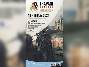 trapani-arabian-horse-cup-arriva-a-maggio