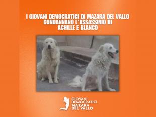 mazara-i-giovani-democratici-condannano-il-barbaro-assassinio-di-achille-e-blanco
