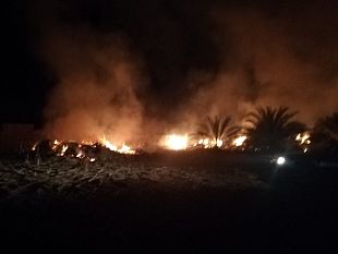 video-paura-per-grosso-incendio-di-unarea-verde-a-tonnarella-probabile-matrice-dolosa