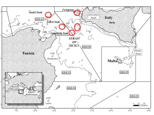 parco-eolico-off-shore-davanti-le-isole-egadi-e-la-tunisia-agci-pesca-sicilia-esprime-contrarieta