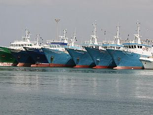 agripesca-sicilia-proficuo-incontro-a-palermo-con-lassessore-scilla-e-il-dirigente-generale-pulizzi