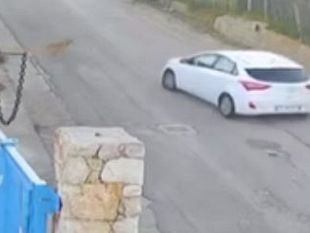 trapani/alcamo-automobilista-investe-la-cagnolina-nina-e-fugge-lasciandola-agonizzante-sullasfalto