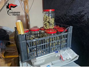 arresto-a-erice-per-coltivazione-e-spaccio-di-marijuana