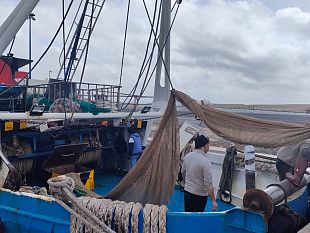 pesca-siciliana-in-crisi-i-sindacati-chiedono-un-incontro-urgente-alla-regione-rischio-sciopero-generale