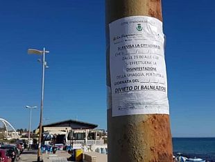 misteri-di-citta-mazara-derattizzazione-e-disinfestazione-del-territorio-e-spiagge-ad-estate-inoltrata