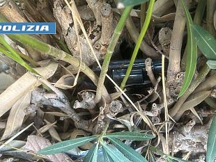 trapani/trapani-la-polizia-di-stato-arresta-due-pregiudicati-per-laggressione-a-mano-armata-di-via-calatafimi
