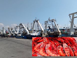 stop-pesca-del-gambero-rosso-ma-no-per-i-pescherecci-nordafricani-pescatori-mazaresi-oltre-al-danno-anche-la-beffa