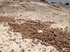 nella-fase-finale-le-operazioni-di-sistemazione-della-spiaggia-di-tonnarella