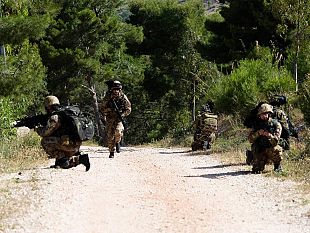 il-6-reggimento-bersaglieri-si-addestra-al-combattimento-in-ambiente-boschivo