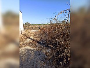 campobello/campobellopubblicato-avviso-per-la-locazione-di-2-terreni-confiscati-alla-mafia