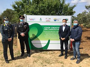 coltivatori-di-legalita-in-un-bene-confiscato-alla-mafia-a-mazara