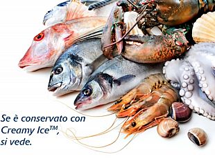 sciacca-si-presenta-nuova-tecnologia-per-migliore-conservazione-del-pescato