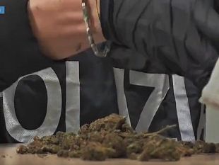operazione-nazionale-della-polizia-di-stato-1335-arresti-e-oltre-450-kg-di-droga-sequestrati