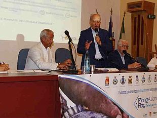 marsala-entra-nel-vivo-l-attivita-del-flag-trapanese