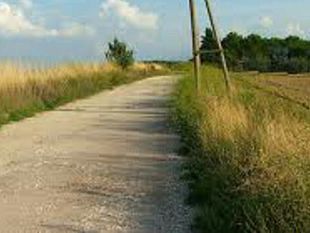 approvata-la-mozione-per-investimenti-sulle-strade-interpoderali-e-sulle-aree-rurali