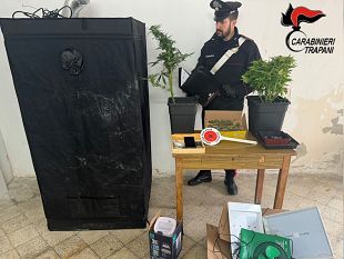 erice-coltivava-marijuana-in-casa-arrestato-37enne