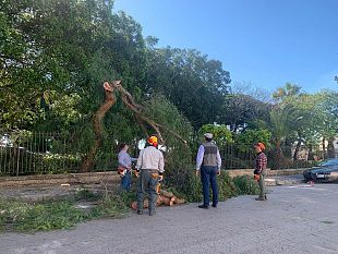 video-castelvetrano-sono-partiti-i-lavori-per-il-recupero-della-villa-comunale
