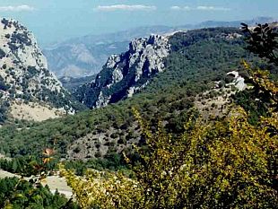 nel-parco-delle-madonie-un-progetto-pilota-sul-recupero-energetico-delle-biomasse