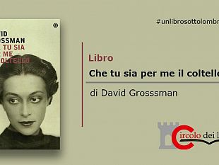 video-un-libro-sotto-lombrellone-che-tu-sia-per-me-il-coltello-di-david-grosssman