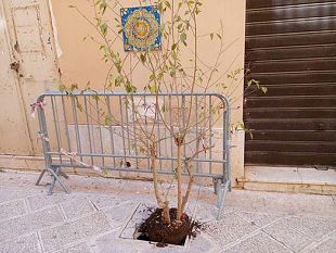 mazara-grazie-alle-buche-la-creativita-va-al-potere