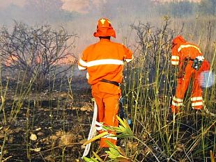 antonio-david-la-morte-del-collega-forestale-alimenta-piu-rabbia-diamo-risposte-al-settore