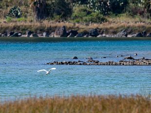pantelleria-attenzione-moderare-la-velocita-per-salvaguardare-gli-uccelli-migratori-al-lago-bagno-dellacqua